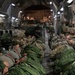 U.S. and Thai Paratroopers conduct bilateral airborne training