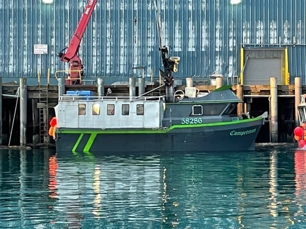 Coast Guard discovers illegal halibut catch near Kodiak, Alaska