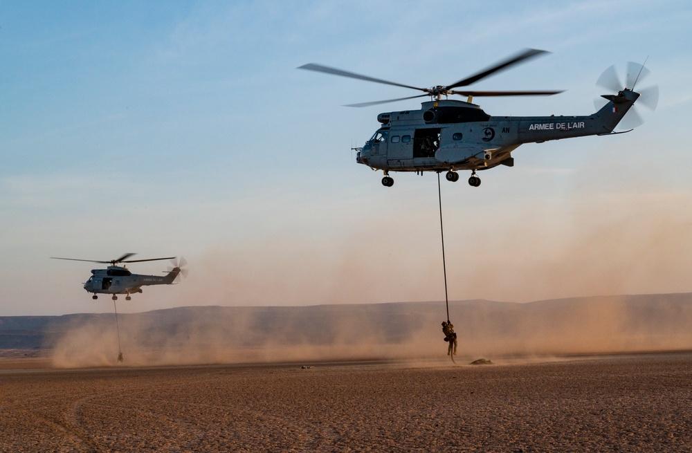 U.S. joins in French-hosted ground, air capabilities display in Djibouti