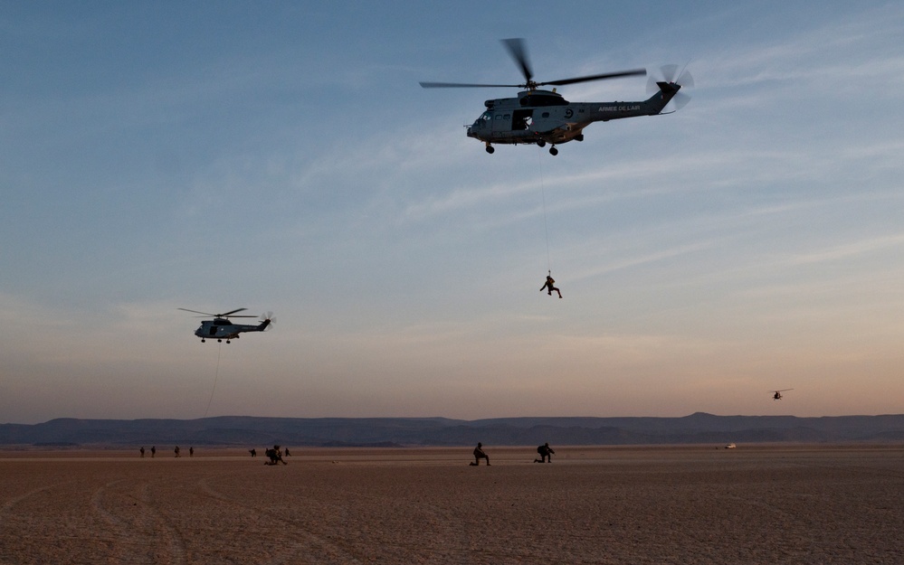 U.S. joins in French-hosted ground, air capabilities display in Djibouti