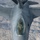 370th Flight Test Squadron Conducts Aerial Refueling
