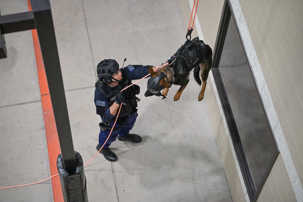 Coast Guard conducts K9 Hoist Training at the Houston Police Academy, Texas
