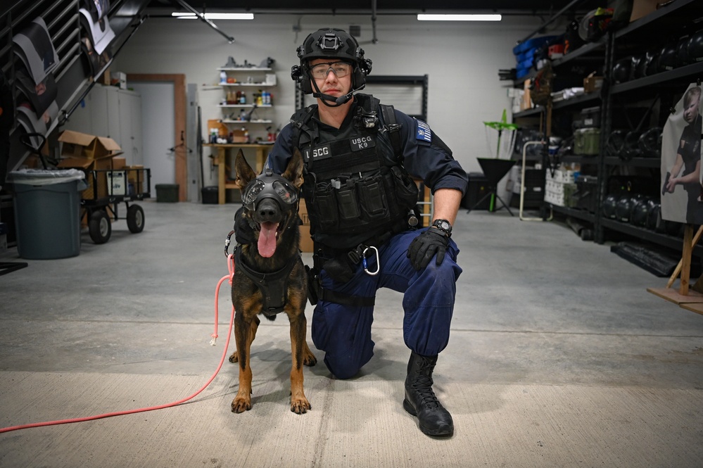 Coast Guard conducts K9 Hoist Training at the Houston Police Academy, Texas