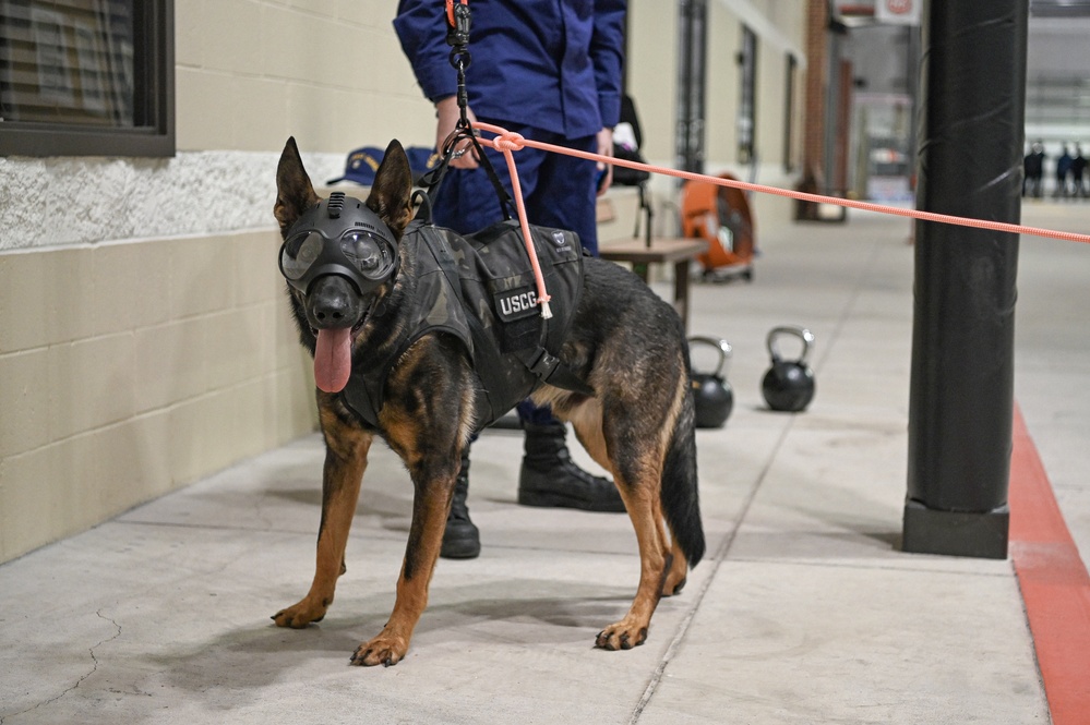 Coast Guard conducts K9 Hoist Training at the Houston Police Academy, Texas