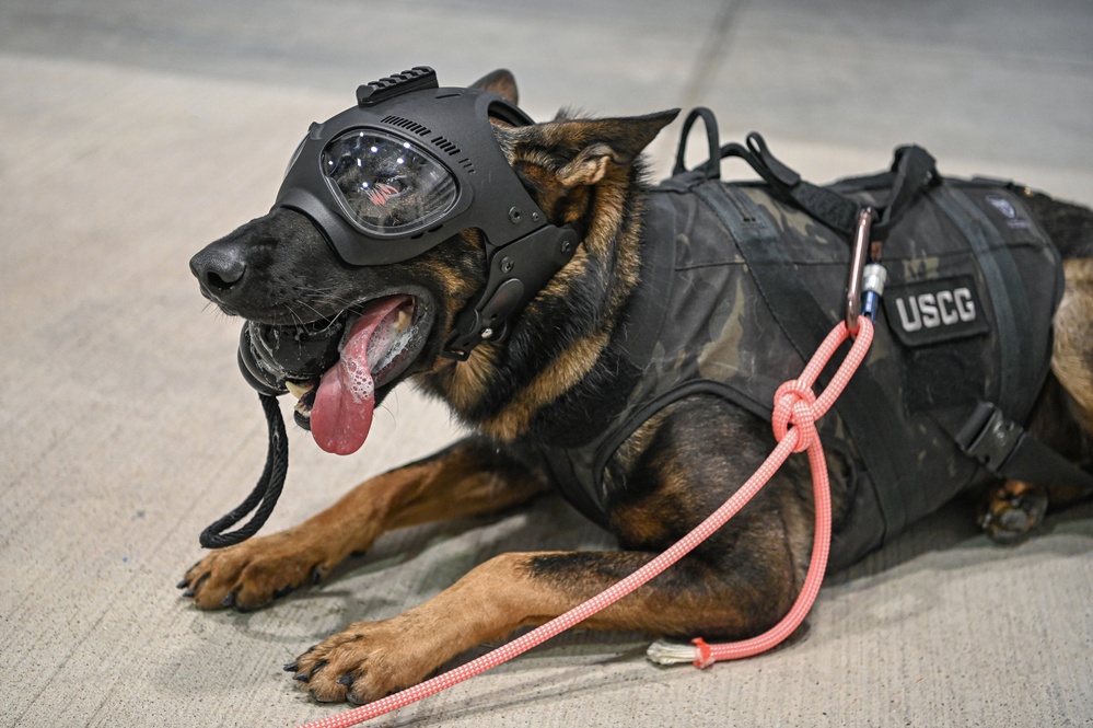 DVIDS Images Coast Guard Conducts K9 Hoist Training At The Houston 