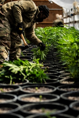 National Guardsmen support civil authorities in large-scale illegal marijuana eradication operation
