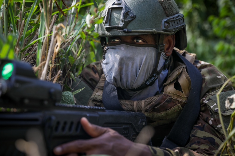 Côte d'Ivoire Special Forces Soldiers: Raid