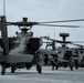 Arrival of the Apaches
