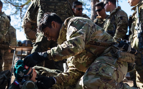 Paratroopers train with their Polish Allies during combined training event