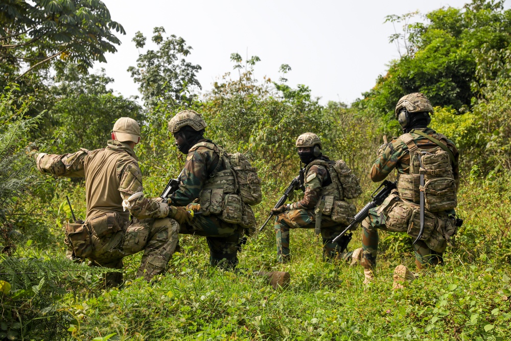 Raid: Ghana and British Armed Forces