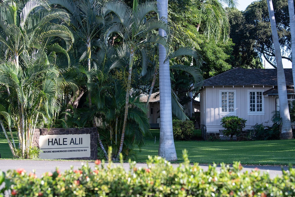 Hale Alii Community Sign (Zone C2)