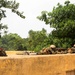 Niger Tactical urban movement