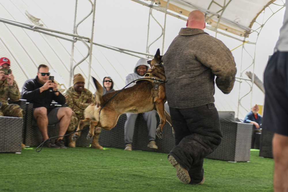 MWD demonstrates readiness