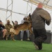 MWD demonstrates readiness