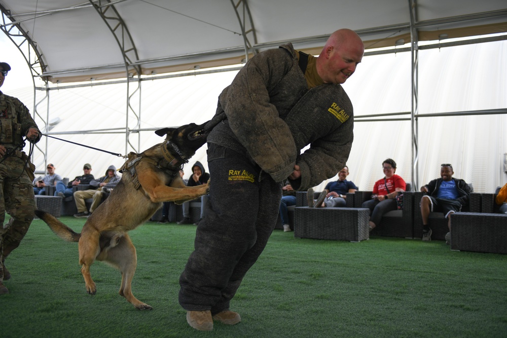 MWD demonstrates readiness