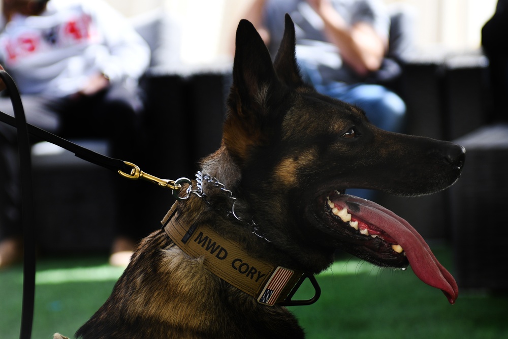 MWD demonstrates readiness