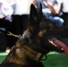 MWD demonstrates readiness