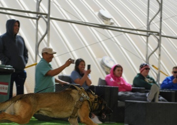 MWD demonstrates readiness