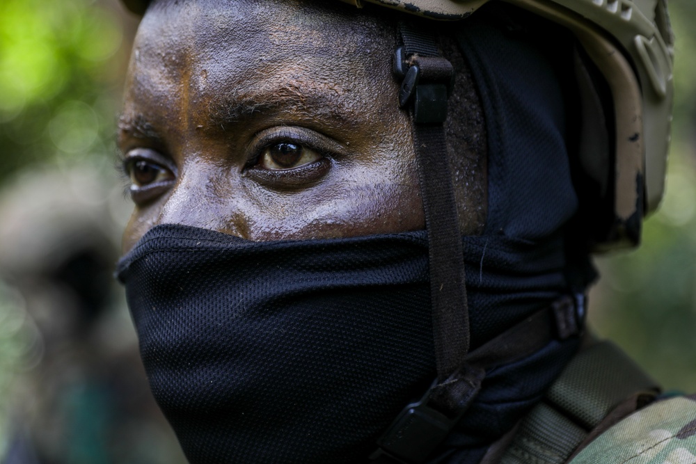 Raid: Ghana and British Armed Forces