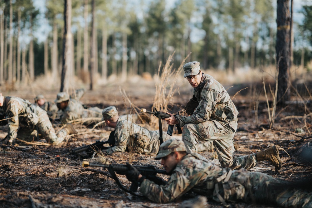 Task Force Georgia Combined FTX 22