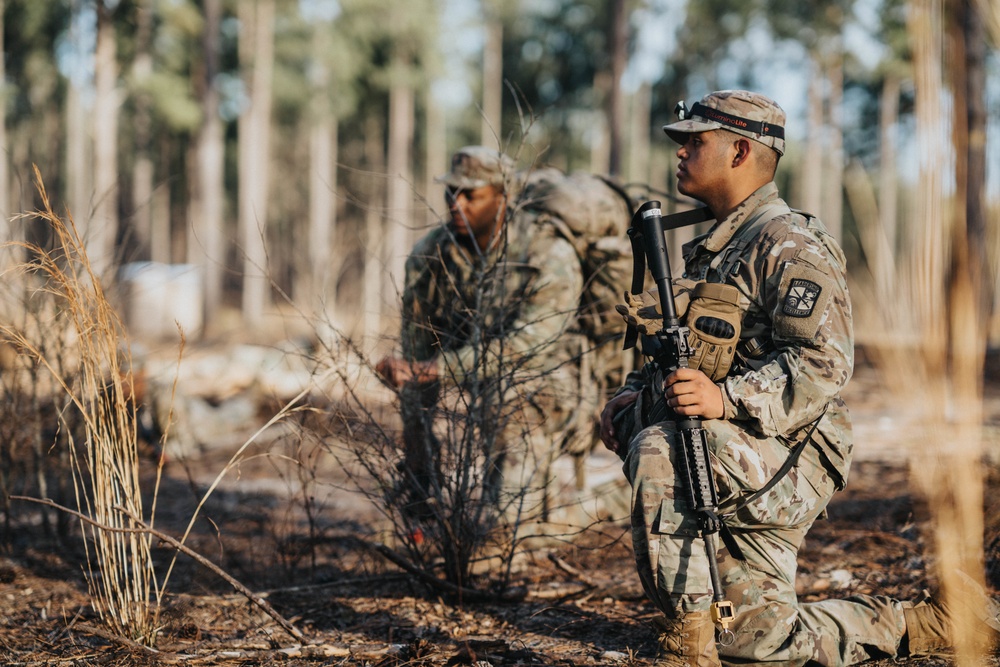 Task Force Georgia Combined FTX 22