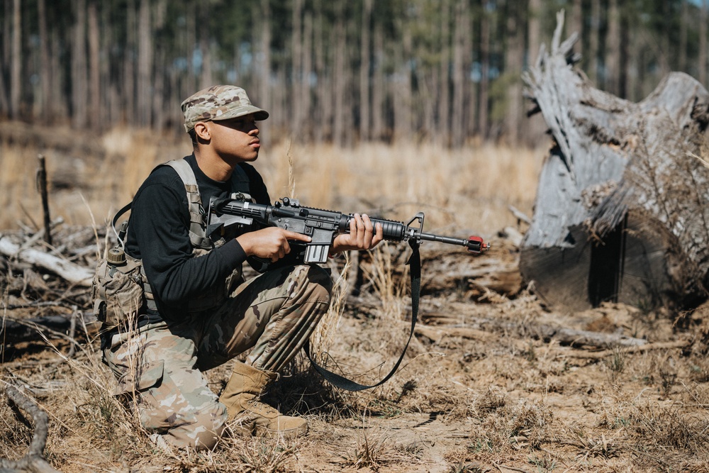 Task Force Georgia Combined FTX 22