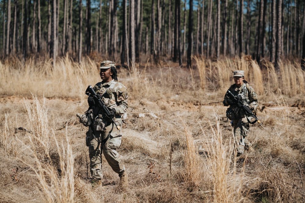 Task Force Georgia Combined FTX 22