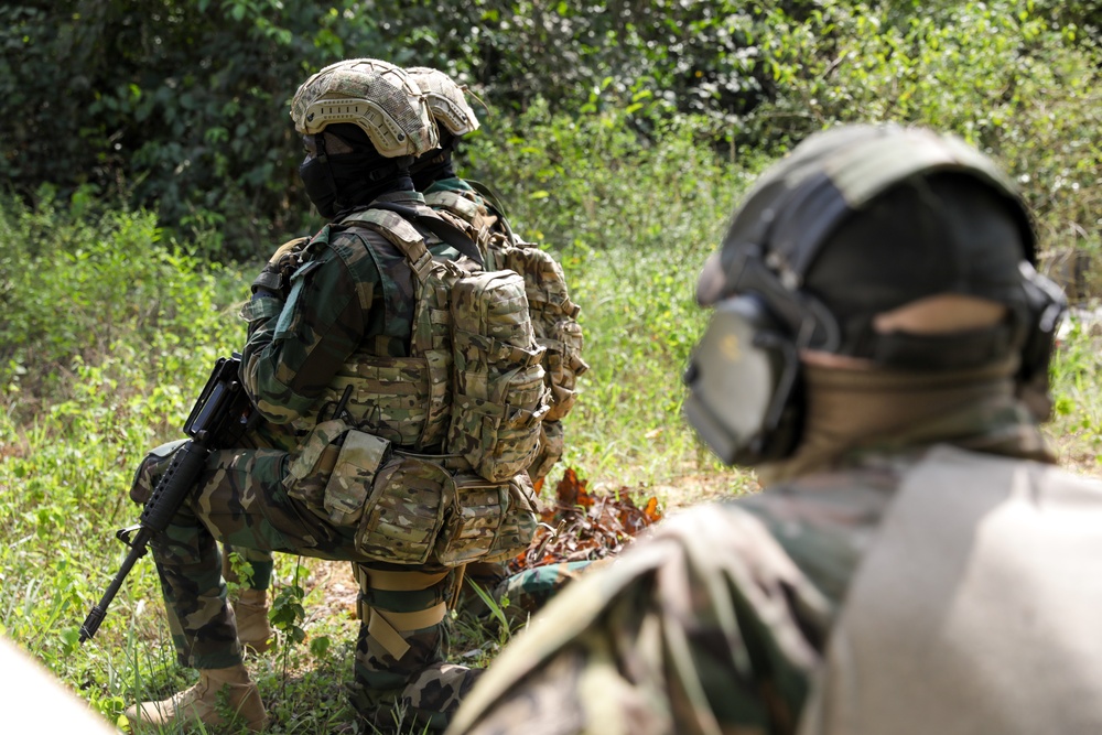 Raid: Ghana and British Armed Forces