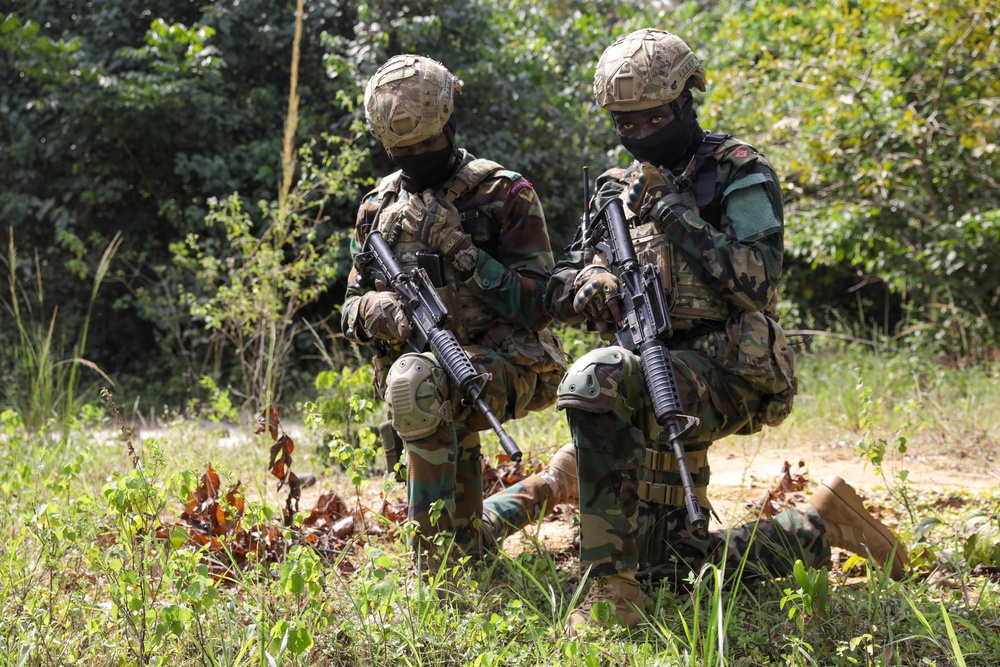 Raid: Ghana and British Armed Forces