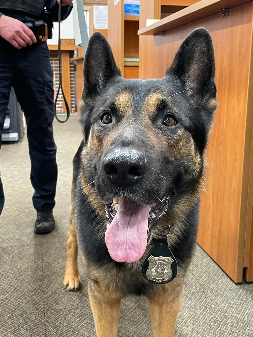 Fort Hamilton hosts training for NYPD Counterterrorism K-9 unit