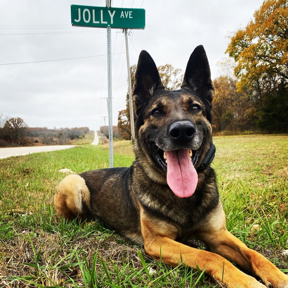 Military Police German Shepherd, Toys German Shepherd