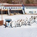 CWOC students complete skiing familiarization during training at Fort McCoy