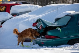 Search and Rescue Teams Train with Experts in Arctic Exercise