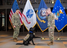Army Sgt. Grover Reports for Duty as USU's Newest Facility Dog