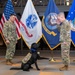 Army Sgt. Grover Reports for Duty as USU's Newest Facility Dog
