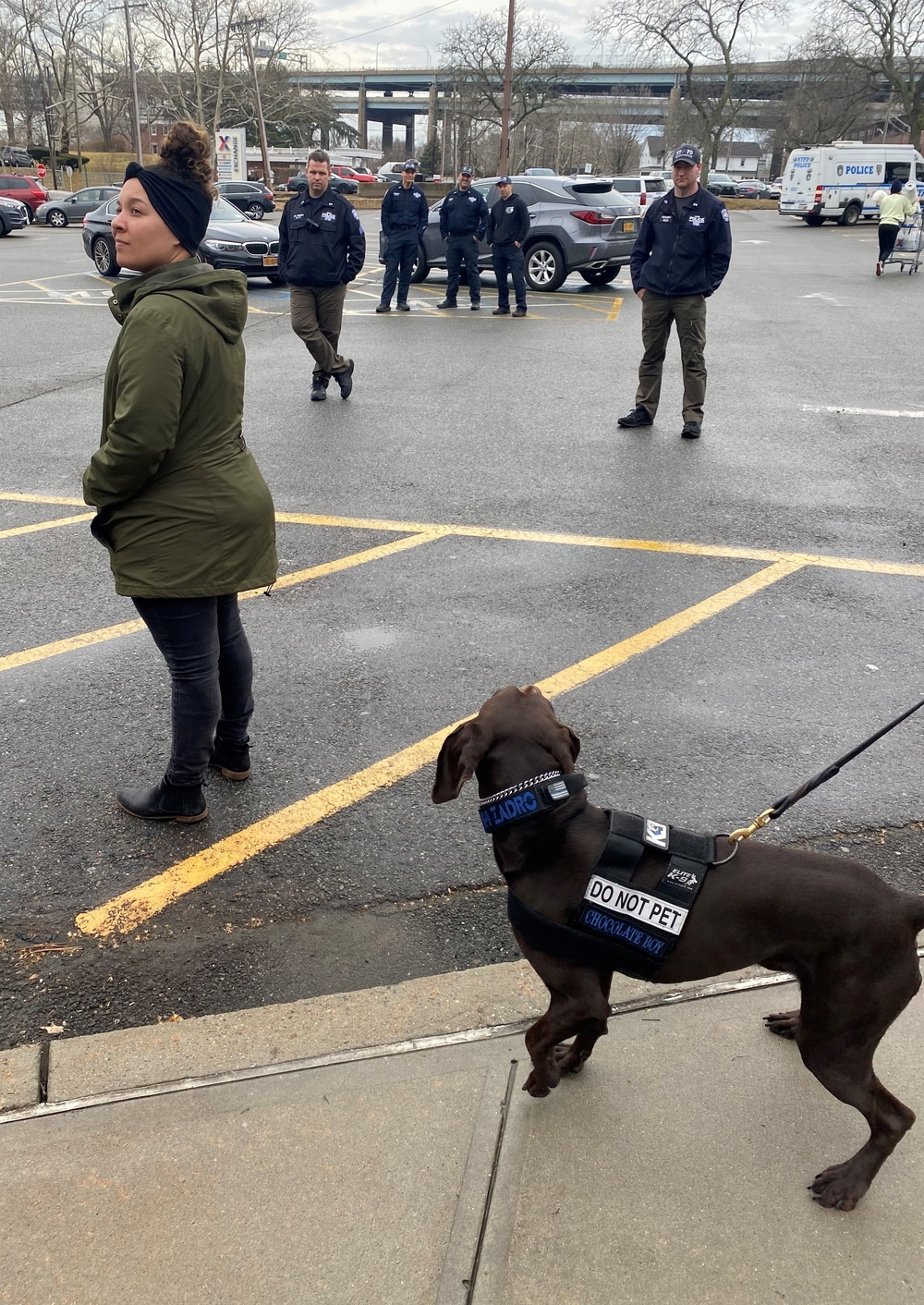 Fort Hamilton hosts training for NYPD Counterterrorism K-9 unit