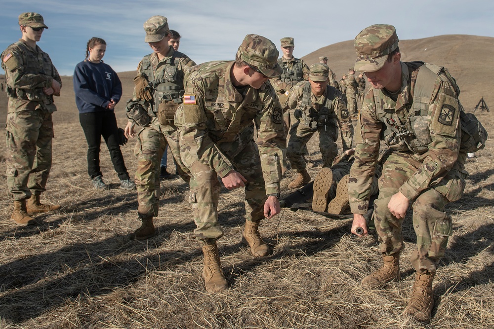 The Bronco Battalion - February Progress