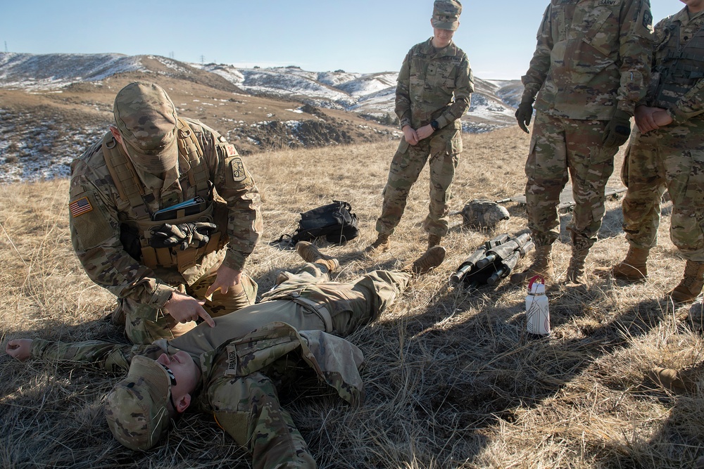 The Bronco Battalion - February Progress