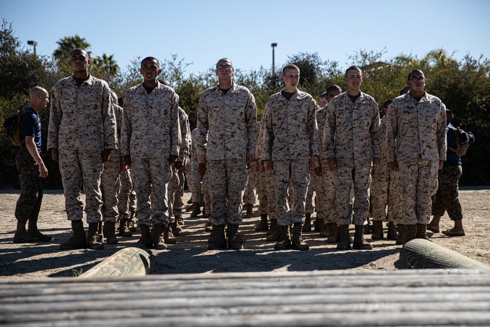 Mike Company Log Drills