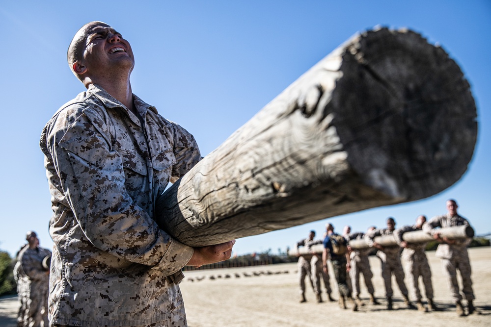 Mike Company Log Drills