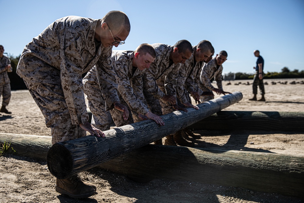 Mike Company Log Drills