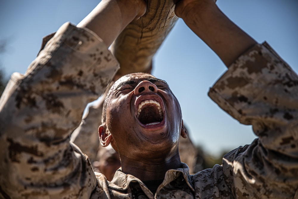 Mike Company Log Drills