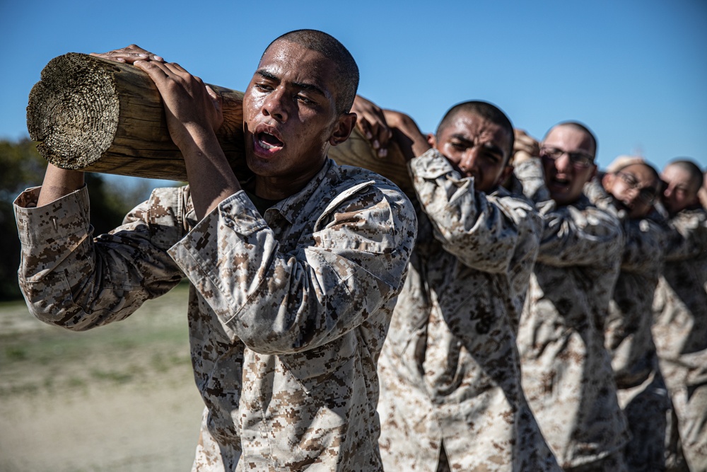 Mike Company Log Drills