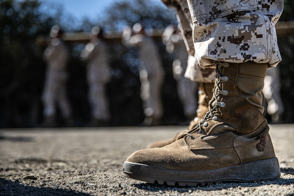 Mike Company Log Drills