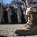 Mike Company Log Drills