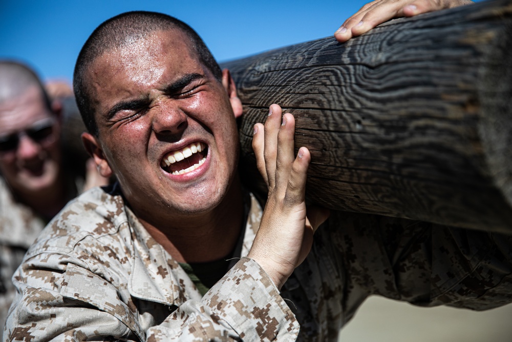 Mike Company Log Drills