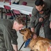 VMM-165 (Rein.), 11th MEU, returns from Western Pacific 21.2 deployment