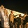 The 3rd Infantry Division's 1st Brigade deploys to Europe