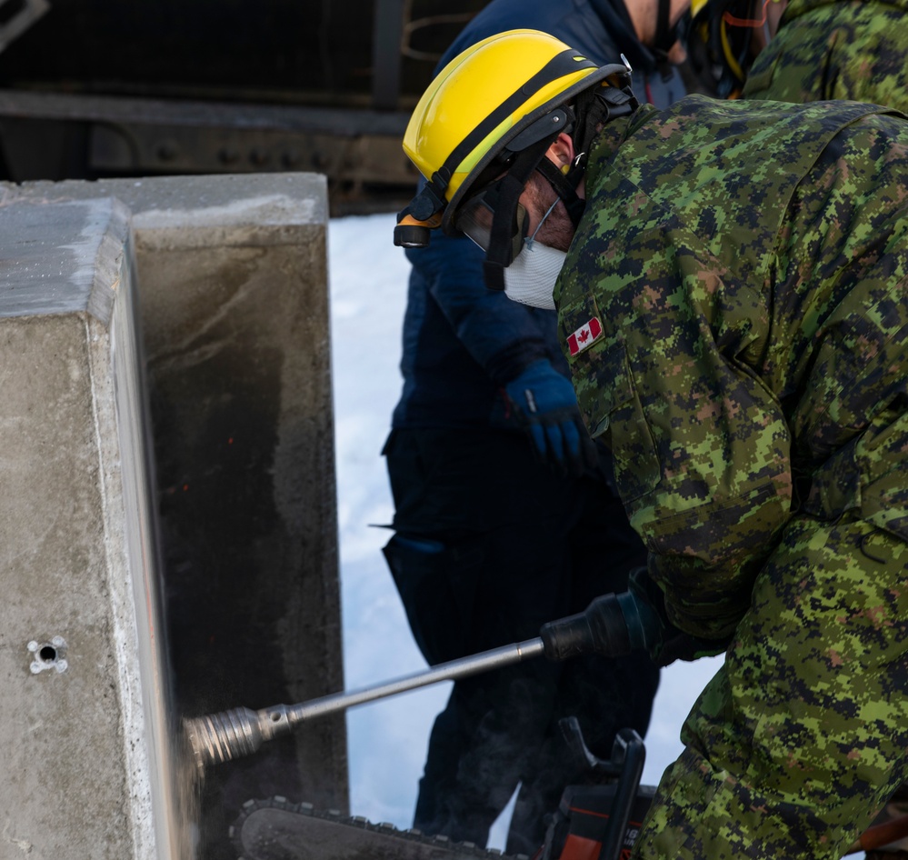 Exercise Arctic Eagle-Patriot 22 Joint-Force Search and Extraction Training