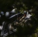 U.S. Marines conduct joint casualty hoist training drills